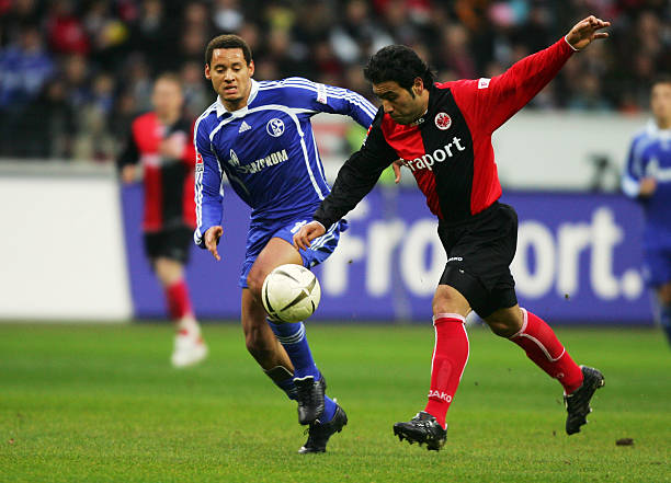 个不变的真 个不变的真